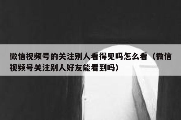 微信视频号的关注别人看得见吗怎么看(微信视频号关注别人好友能看到吗) 第1张 微信视频号的关注别人看得见吗怎么看(微信视频号关注别人好友能看到吗) 第1张