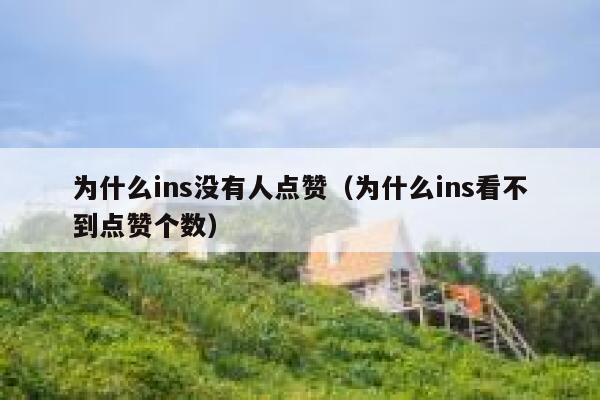 为什么ins没有人点赞(为什么ins看不到点赞个数) 第1张 为什么ins没有人点赞(为什么ins看不到点赞个数) 第1张