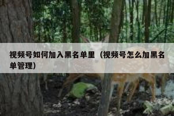 视频号如何加入黑名单里（视频号怎么加黑名单管理） 第1张