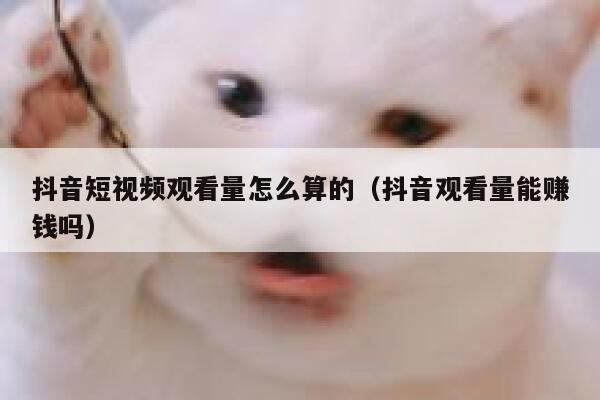 抖音短视频观看量怎么算的(抖音观看量能赚钱吗) 第1张 抖音短视频观看量怎么算的(抖音观看量能赚钱吗) 第1张