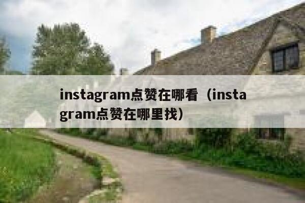 instagram点赞在哪看（instagram点赞在哪里找） 第1张