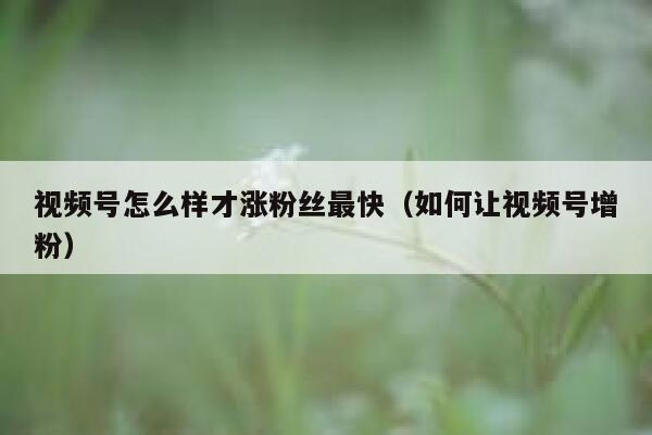 视频号怎么样才涨粉丝最快（如何让视频号增粉） 第1张