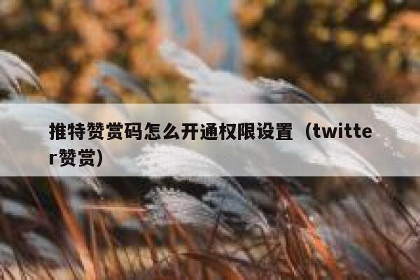 推特赞赏码怎么开通权限设置(twitter赞赏) 第1张 推特赞赏码怎么开通权限设置(twitter赞赏) 第1张