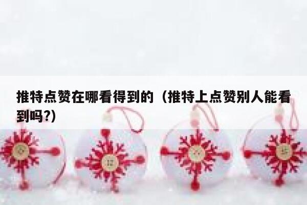 推特点赞在哪看得到的（推特上点赞别人能看到吗?） 第1张