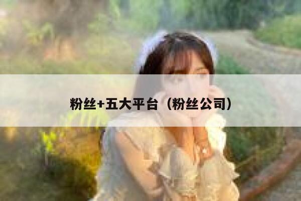 粉丝+五大平台（粉丝公司） 第1张