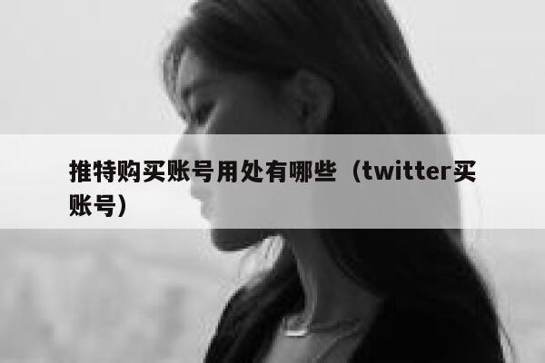 推特购买账号用处有哪些（twitter买账号） 第1张