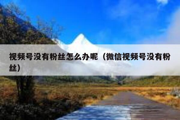 视频号没有粉丝怎么办呢（微信视频号没有粉丝） 第1张