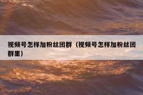 视频号怎样加粉丝团群（视频号怎样加粉丝团群里） 第1张