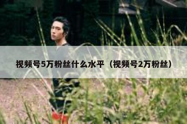 视频号5万粉丝什么水平(视频号2万粉丝) 第1张 视频号5万粉丝什么水平(视频号2万粉丝) 第1张