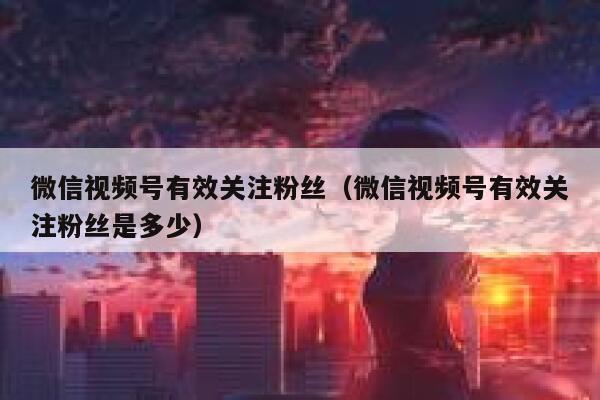 微信视频号有效关注粉丝(微信视频号有效关注粉丝是多少) 第1张 微信视频号有效关注粉丝(微信视频号有效关注粉丝是多少) 第1张