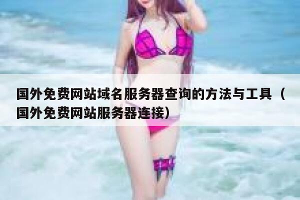 国外免费网站域名服务器查询的方法与工具（国外免费网站服务器连接） 第1张