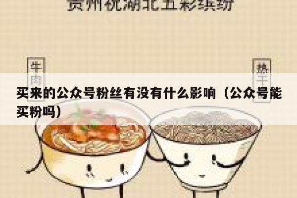 买来的公众号粉丝有没有什么影响(公众号能买粉吗) 第1张 买来的公众号粉丝有没有什么影响(公众号能买粉吗) 第1张