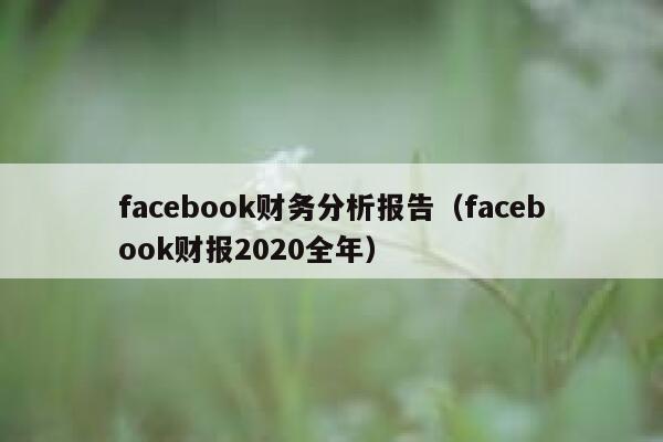 facebook财务分析报告（facebook财报2020全年） 第1张