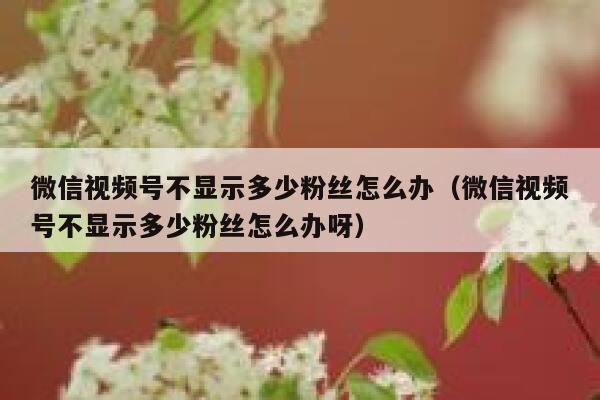 微信视频号不显示多少粉丝怎么办(微信视频号不显示多少粉丝怎么办呀) 第1张 微信视频号不显示多少粉丝怎么办(微信视频号不显示多少粉丝怎么办呀) 第1张