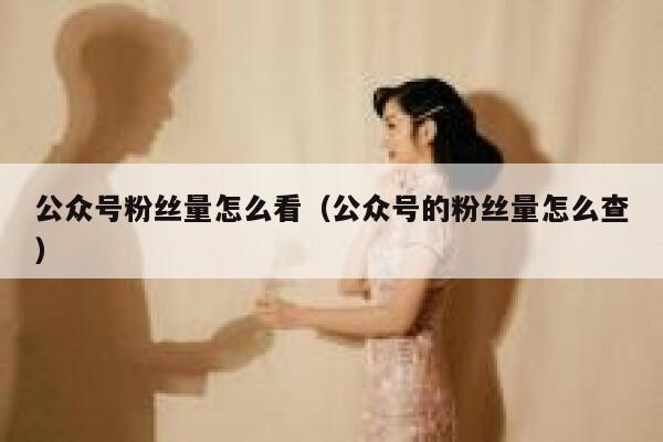公众号粉丝量怎么看（公众号的粉丝量怎么查） 第1张