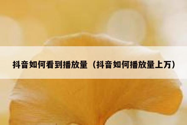 抖音如何看到播放量(抖音如何播放量上万) 第1张 抖音如何看到播放量(抖音如何播放量上万) 第1张
