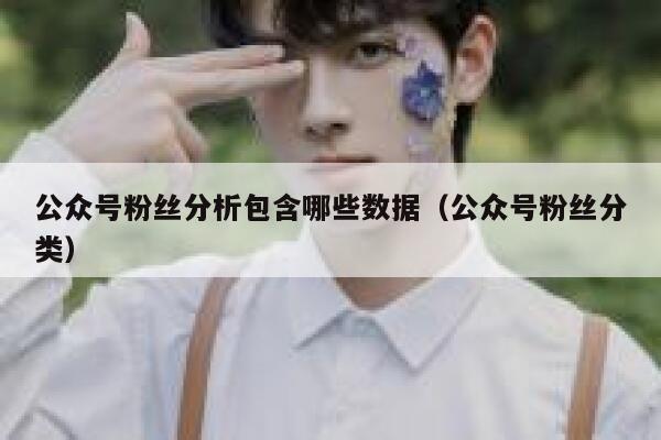 公众号粉丝分析包含哪些数据(公众号粉丝分类) 第1张 公众号粉丝分析包含哪些数据(公众号粉丝分类) 第1张
