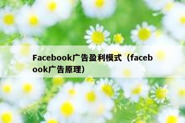 Facebook广告盈利模式（facebook广告原理） 第1张