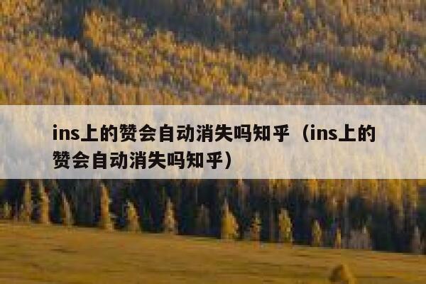 ins上的赞会自动消失吗知乎（ins上的赞会自动消失吗知乎） 第1张