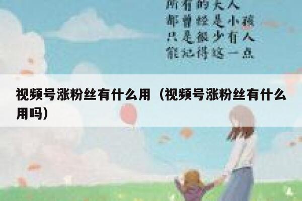 视频号涨粉丝有什么用（视频号涨粉丝有什么用吗） 第1张