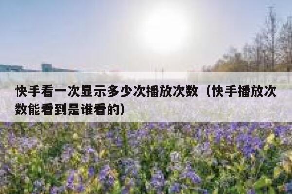 快手看一次显示多少次播放次数(快手播放次数能看到是谁看的) 第1张 快手看一次显示多少次播放次数(快手播放次数能看到是谁看的) 第1张