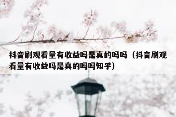 抖音刷观看量有收益吗是真的吗吗（抖音刷观看量有收益吗是真的吗吗知乎） 第1张