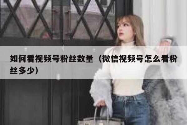 如何看视频号粉丝数量（微信视频号怎么看粉丝多少） 第1张
