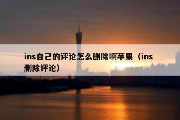 ins自己的评论怎么删除啊苹果（ins 删除评论） 第1张