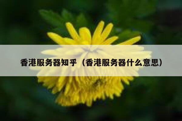 香港服务器知乎(香港服务器什么意思) 第1张 香港服务器知乎(香港服务器什么意思) 第1张