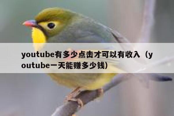 youtube有多少点击才可以有收入(youtube一天能赚多少钱) 第1张 youtube有多少点击才可以有收入(youtube一天能赚多少钱) 第1张