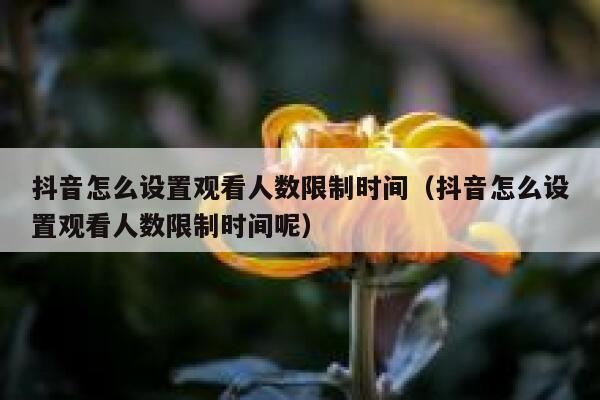 抖音怎么设置观看人数限制时间（抖音怎么设置观看人数限制时间呢） 第1张