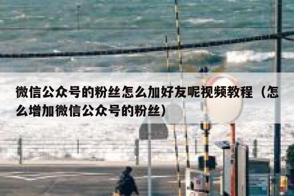 微信公众号的粉丝怎么加好友呢视频教程（怎么增加微信公众号的粉丝） 第1张