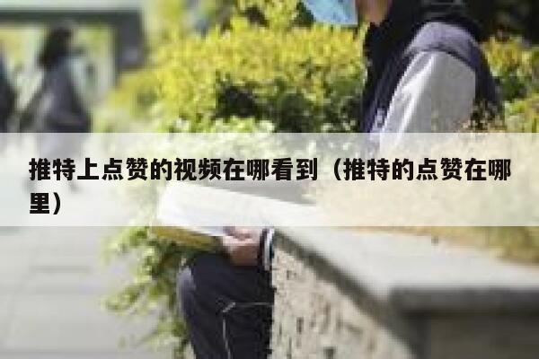 推特上点赞的视频在哪看到（推特的点赞在哪里） 第1张