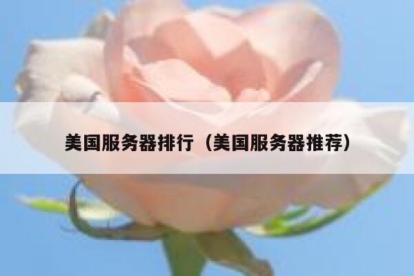 美国服务器排行（美国服务器推荐） 第1张