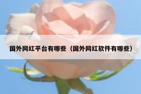 国外网红平台有哪些（国外网红软件有哪些） 第1张