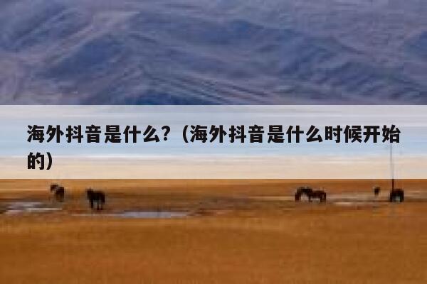 海外抖音是什么?（海外抖音是什么时候开始的） 第1张