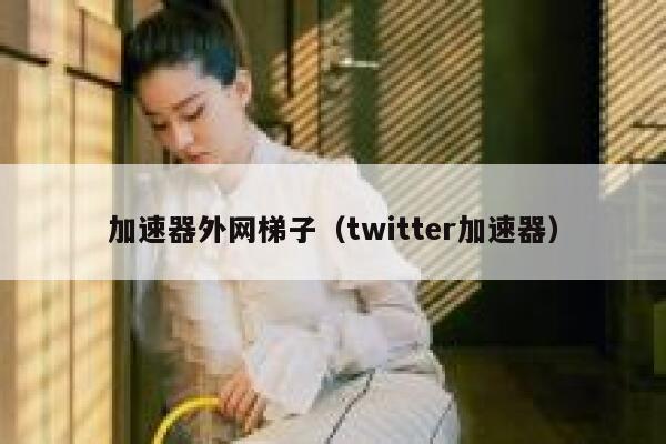 加速器外网梯子(twitter加速器) 第1张 加速器外网梯子(twitter加速器) 第1张