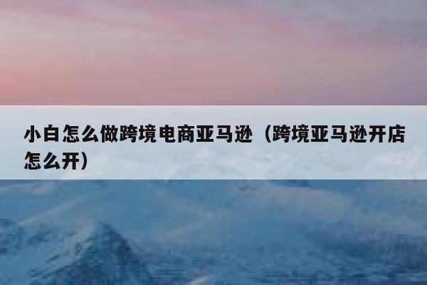 小白怎么做跨境电商亚马逊(跨境亚马逊开店怎么开) 第1张 小白怎么做跨境电商亚马逊(跨境亚马逊开店怎么开) 第1张