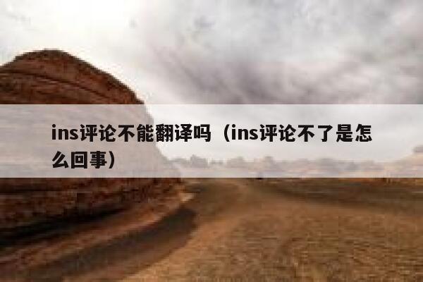 ins评论不能翻译吗（ins评论不了是怎么回事） 第1张