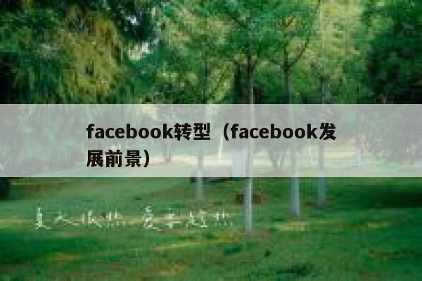 facebook转型(facebook发展前景) 第1张 facebook转型(facebook发展前景) 第1张