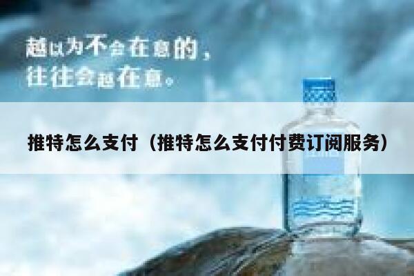 推特怎么支付（推特怎么支付付费订阅服务） 第1张