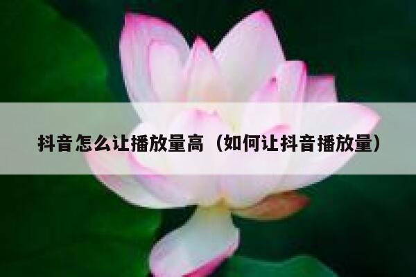 抖音怎么让播放量高（如何让抖音播放量） 第1张