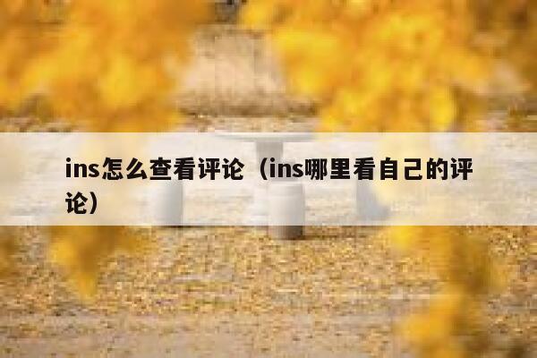 ins怎么查看评论（ins哪里看自己的评论） 第1张