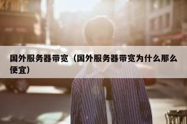 国外服务器带宽（国外服务器带宽为什么那么便宜） 第1张
