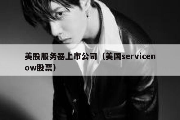 美股服务器上市公司(美国servicenow股票) 第1张 美股服务器上市公司(美国servicenow股票) 第1张