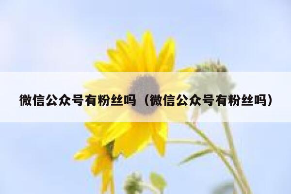 微信公众号有粉丝吗(微信公众号有粉丝吗) 第1张 微信公众号有粉丝吗(微信公众号有粉丝吗) 第1张