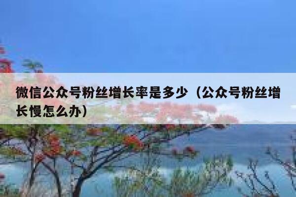 微信公众号粉丝增长率是多少（公众号粉丝增长慢怎么办） 第1张