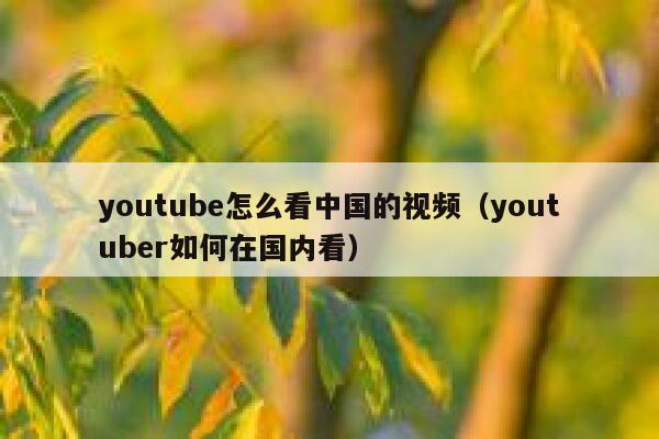 youtube怎么看中国的视频（youtuber如何在国内看） 第1张