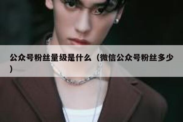 公众号粉丝量级是什么(微信公众号粉丝多少) 第1张 公众号粉丝量级是什么(微信公众号粉丝多少) 第1张