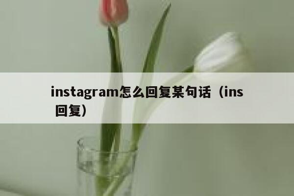 instagram怎么回复某句话(ins 回复) 第1张 instagram怎么回复某句话(ins 回复) 第1张